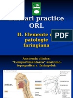 2019 Lucrari Practice ORL II Faringe