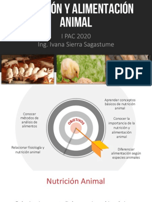 Nutricion Animal Unidad I | PDF | Rumiante | Sistema digestivo humano