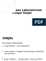 Fungsi Ginjal