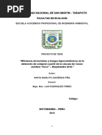 Perfil de Tesis - Sintia Marlith