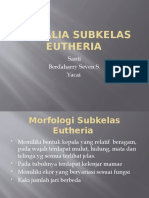 Kelompok 9 Mamalia Subkelas Eutheria