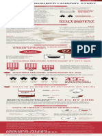DuPont-Indian-Laundry-Study-infographic.pdf.pdf