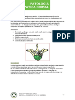 3.3 - Patologia Osteopatica Dorsal