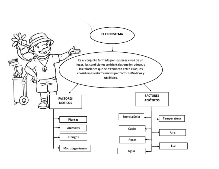 Hoja De Trabajo Con Mapa Conceptual De Ecosistemas Los Ecosistemas