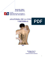 Osteo_y_artro_de_columna.pdf