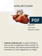 Anatomia Del Corazon PDF