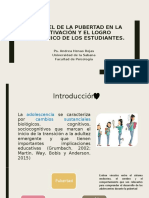 El papel de la pubertad en la motivación.pptx