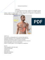 Intubación gástrica: definición, objetivos y cuidados
