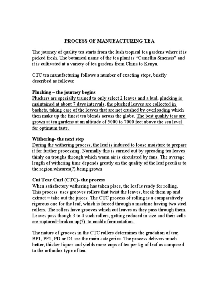 Process of Manufacturing Tea | PDF | Tea | Leaf