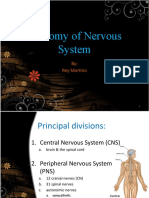 Anatomy of Nervous System 