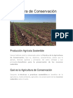 Agricultura de Conservación