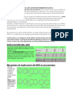 Qué Es El Adn