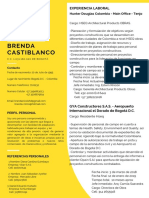 CV Brenda Castiblanco 1 PDF