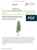 Beneficios e Información de Rhodiola Rosea (Rhodiola Rosea)