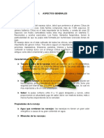 217434004-Informe-de-Naranja-1.docx