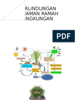 Perlindungan Tanaman Ramah Lingkungan