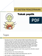 Gangguan Pencernaan.pdf