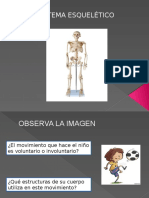 Sistema Esqueletico 4to