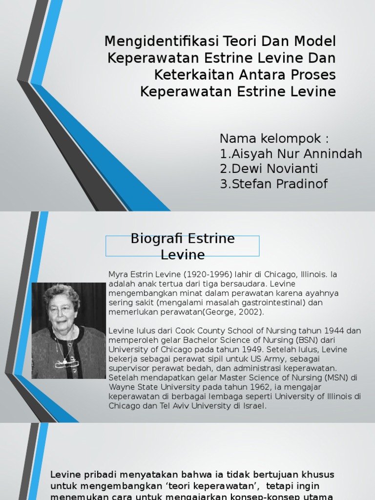 Materi Levine | PDF