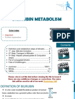 7-Bilirubin Metabolism