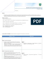 Programa curso Gerencia de Proyectos Ingeniería Estructural.pdf