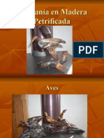 ArtesaníaenMaderaPetrificada.ppt