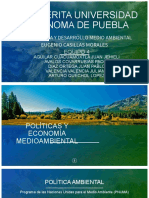 POLÍTICAS Y ECONOMÍA MEDIOAMBIENTAL.pdf