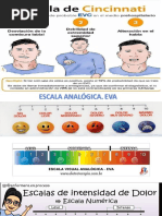 Escala ECOG: Evaluación del Estado Funcional | PDF | Salud y bienestar