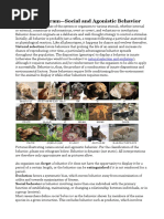 Canine Ethogram Social and Agonistic Behavior