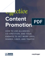 Effective Content Promotion PDF