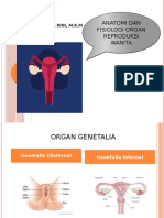 Anfis Organ Reproduksi