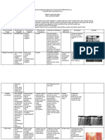 Format Tugas Diagnosis Penyakit Pulpa Dan Per