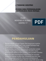 Perilaku Beresiko & Permasalahan Kespro Remaja