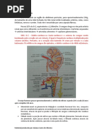 Fisiologia renal