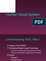 HVS