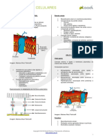 5-Envoltórios Celulares