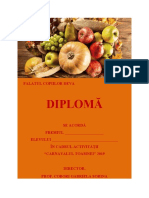 DIPLOMA