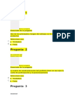 Preguntas sobre estrategia corporativa y modelos estratégicos