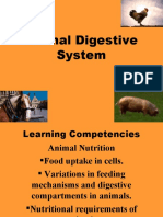 Animal Digestive Systems