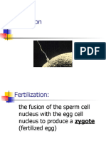 Fertilization-Early-Embryo-Devt