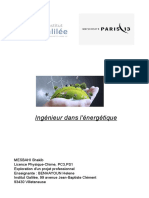 Rapport-EPPFINAL FIN PDF