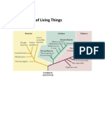 Classification of Living Things