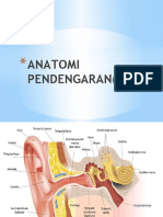 Anatomi Pendengaran (THT)
