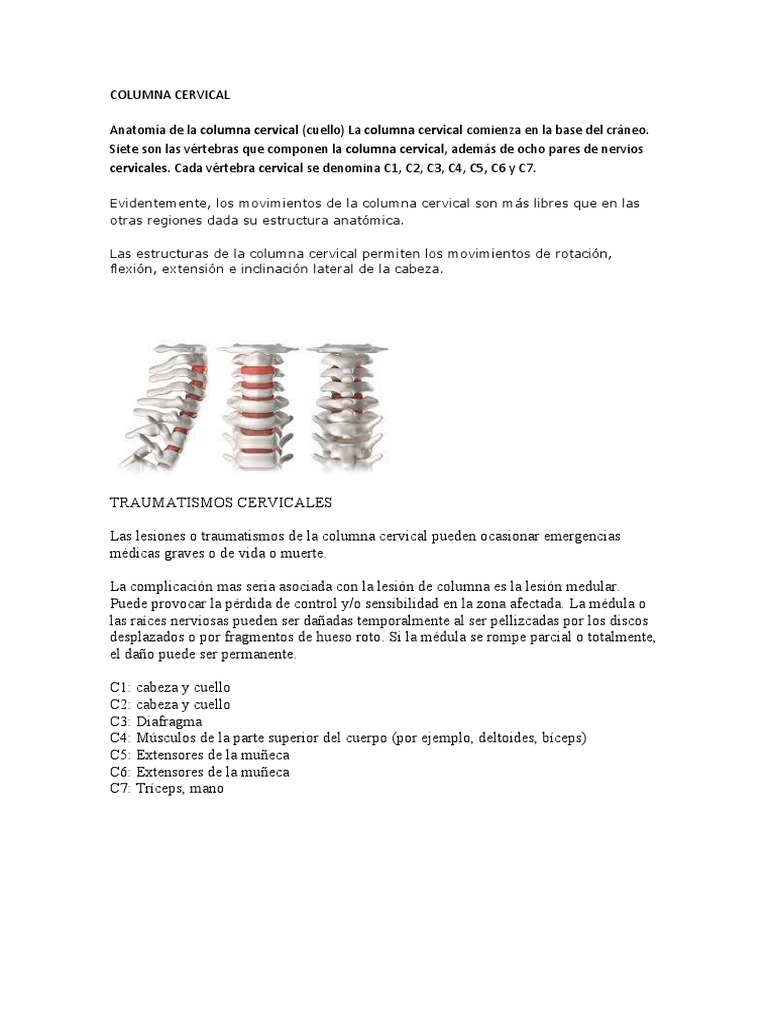 Lesiones y Cuidados de la Columna Cervical | PDF | La columna vertebral ...