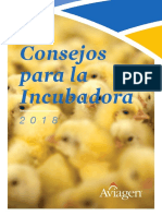 Consejos para La Incubacion PDF