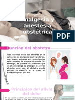 analgesia y anestsia embrzo