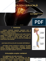 Spondiloza Cervicala