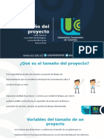 Tamaño Del Proyecto