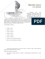 37721829-4-Anatomia-capului.pdf