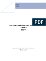 G-GI-IP-18 Guía Operativa FEST v1 Codificada